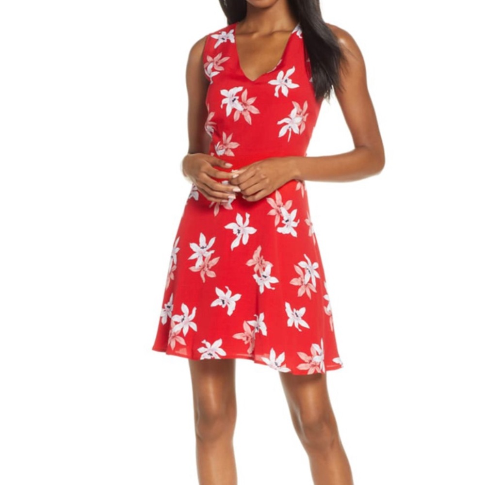 BB Dakota Dress